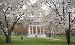 med_boston-spring-03_250x150