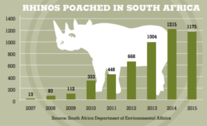 Rhino-Poaching-Stats-300x183 (1)