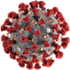 Coronavirus-290x290-1