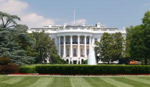 white house image-136