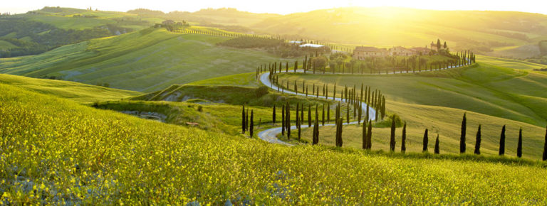 shutterstock_760349944 field morning sunrise green