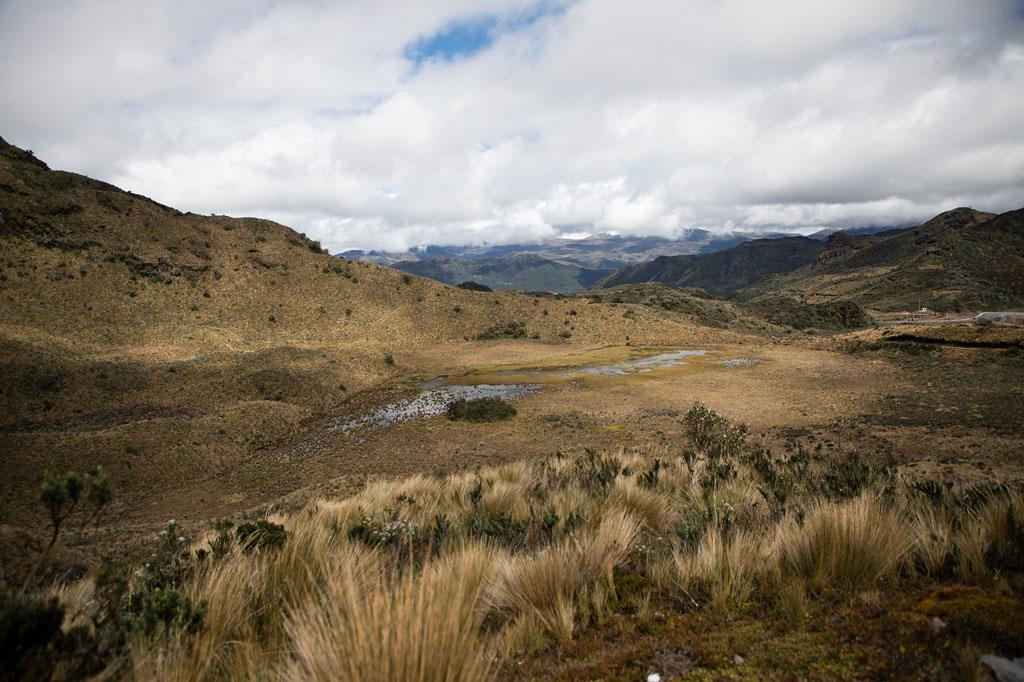 Photo of the páramo by Alyssa LaFaro for UNC Research