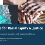 Screenshot of Esri StoryMap GIS for Racial Equity and Justice