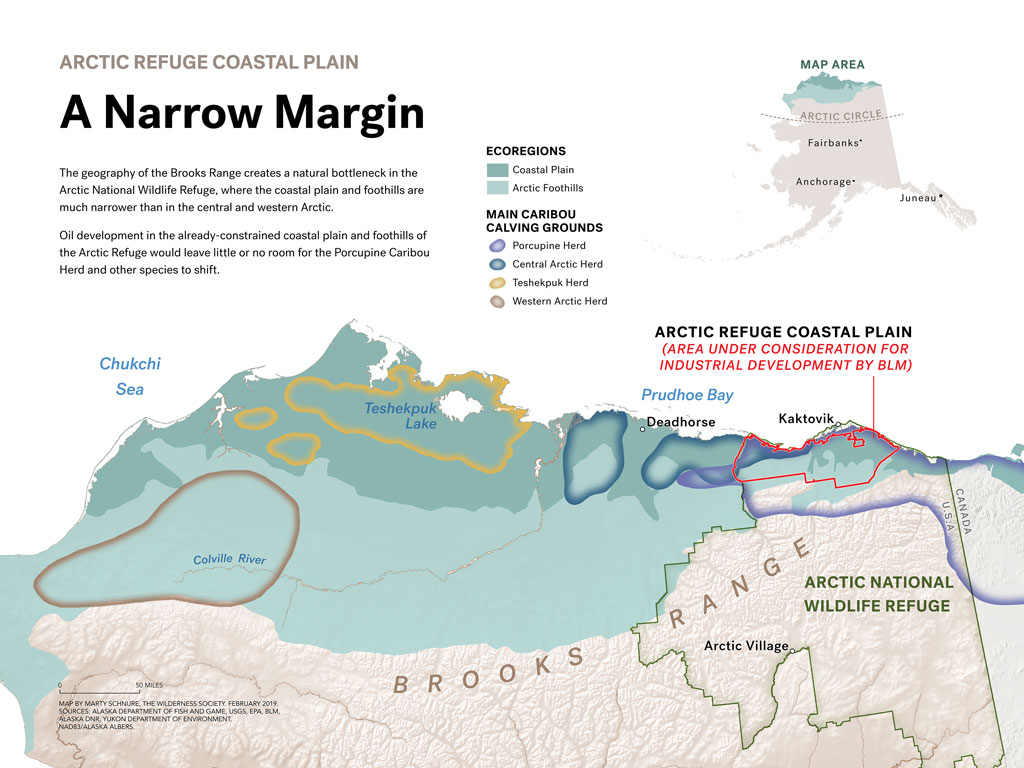 Arctic Refuge Coastal Plain: A Narrow Margin The geography of the Brooks Range creates a natural bottleneck in the Arctic National Wildlife Refuge, where the coastal plain and foothills are much narrower than in the central and western Arctic. Oil development in the already-constrained coastal plain and foothills of the Arctic Refuge would leave little or no room for the Porcupine Caribou Herd and other species to shift.