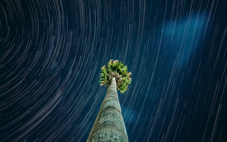 Image of palm tree with background time lapse of starry night sky by Insung Yoon for Unsplash