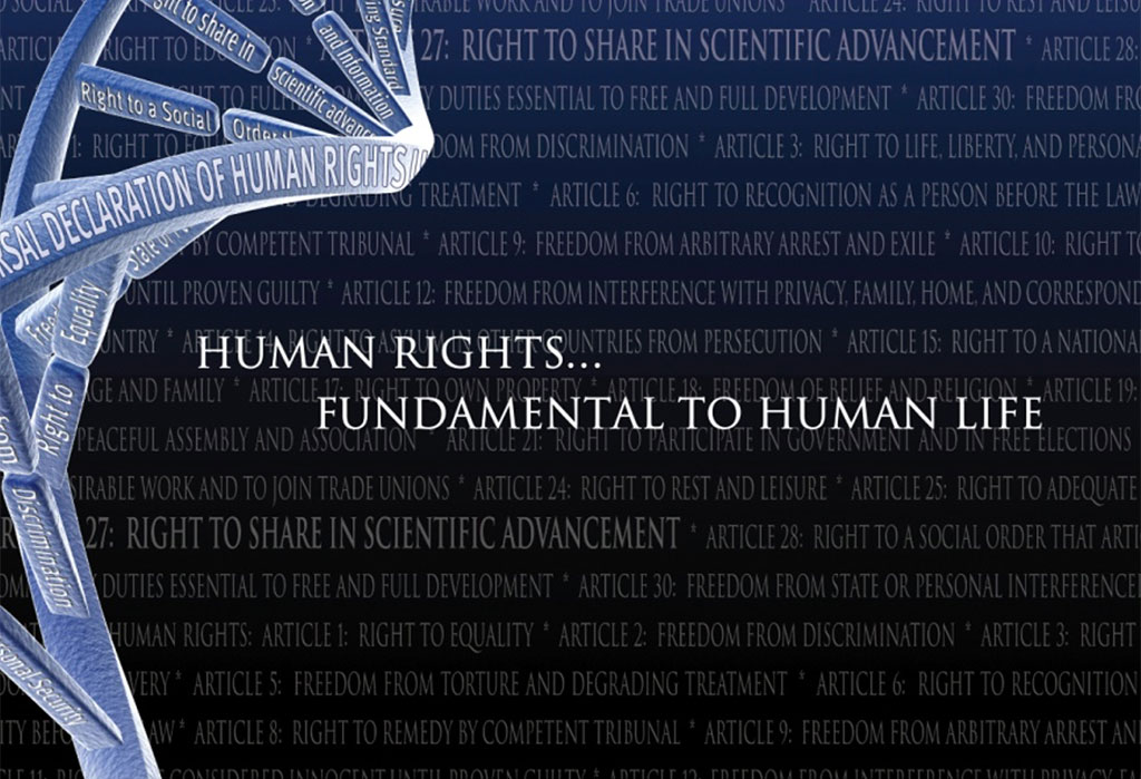 AAAS textual graphic containing many human rights terms