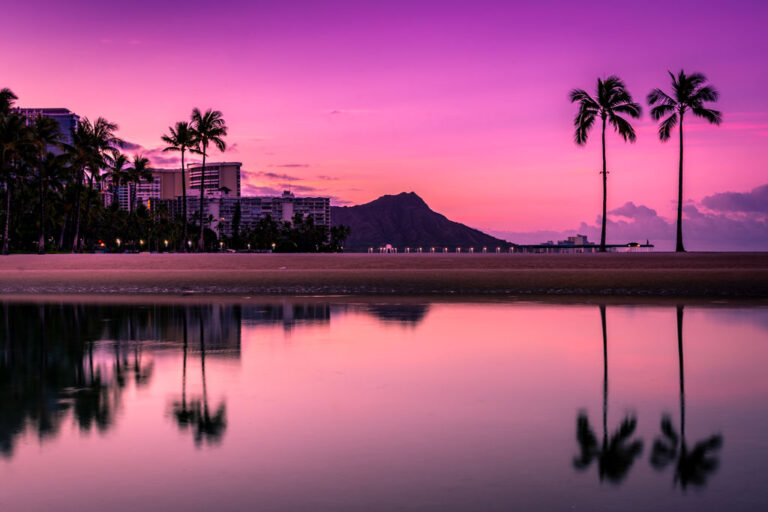 A view of the beach and palm trees of Honolulu Hawaii with a vivid fuscia sunset