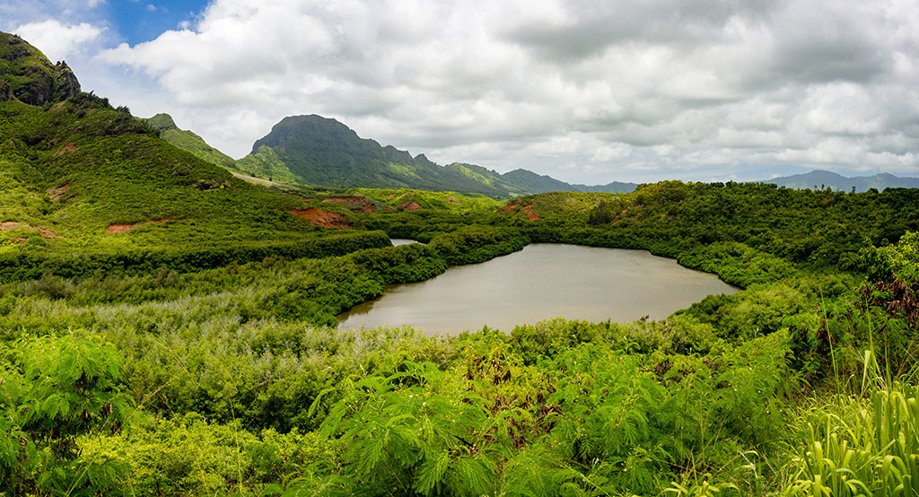 Panorama of Menehune fishpond, aka Alekoko Fishpond, historic Hawaii, Lihue, Kauai, Hawaii, USA