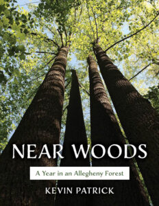 Book cover of Near Woods by Kevin Patrick