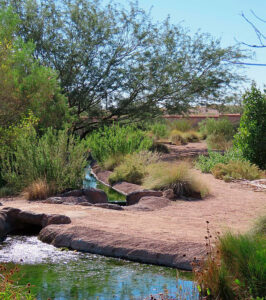 Mission Garden (Tucson) demonstrates the acequia system that used to bring Santa Cruz River water to area crops. Source: Wikimedia Commons