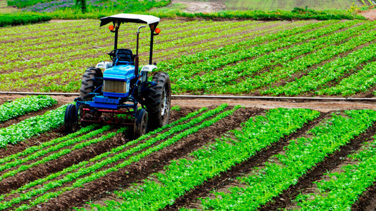 Tractor in monocrop plots Credit: Marcio Silva, Getty Images