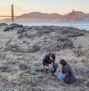 San Francisco State University students gather samples for a field methods class in the San Francisco Bay.