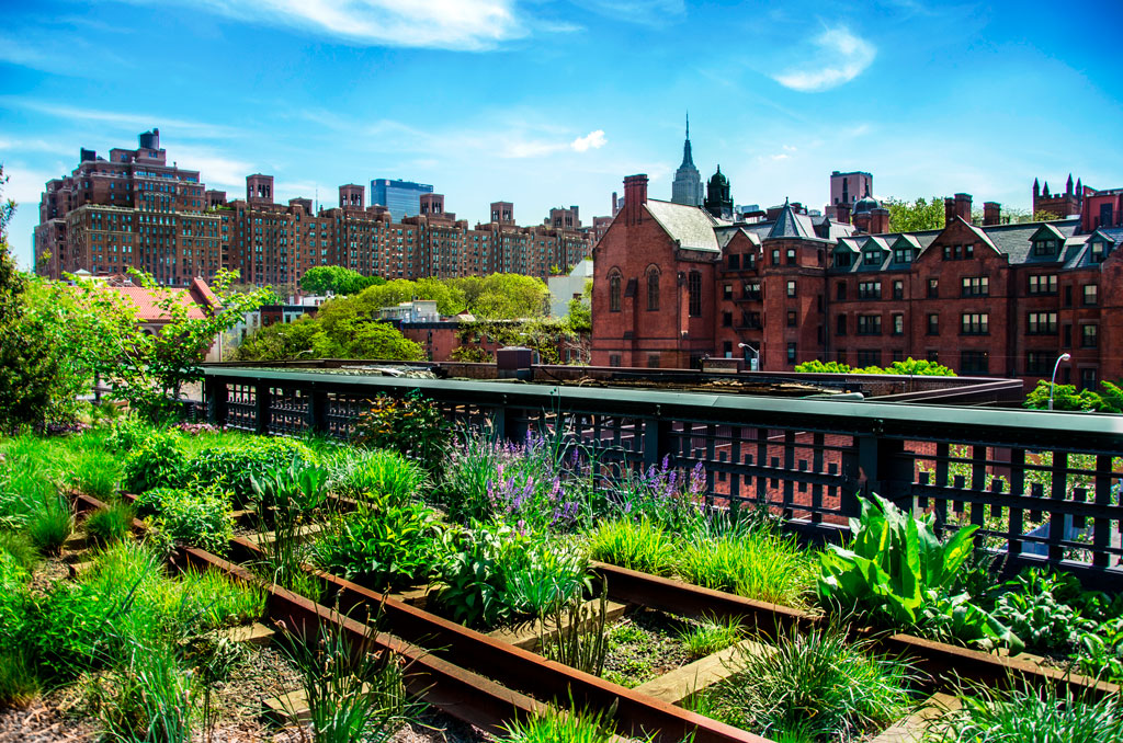 A view of New York's High Line showing old train tracks with green growth and neighborhood skyline in the background