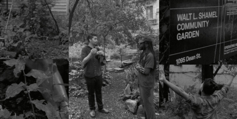 Collage showing various black-and-white photos of city garden scenes